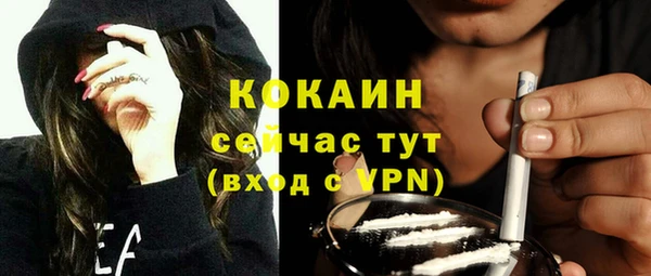 шишки Приозерск