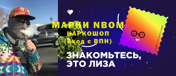 шишки Приозерск