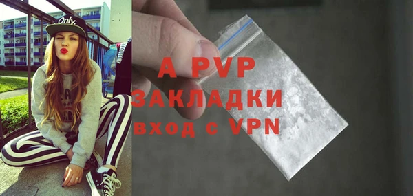 шишки Приозерск
