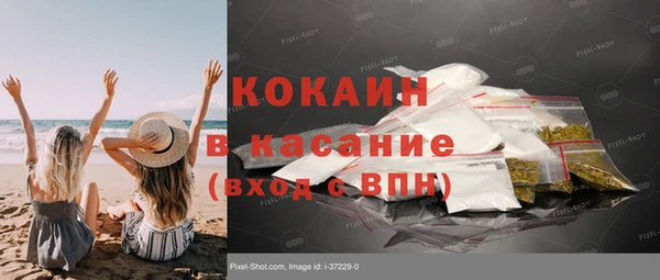 прущие грибы Аркадак