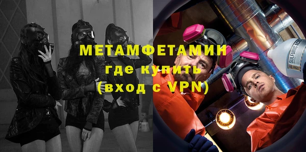 шишки Приозерск