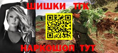 apvp Гатчина