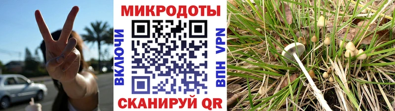 Галлюциногенные грибы Psilocybe  хочу   darknet клад  Балахна 