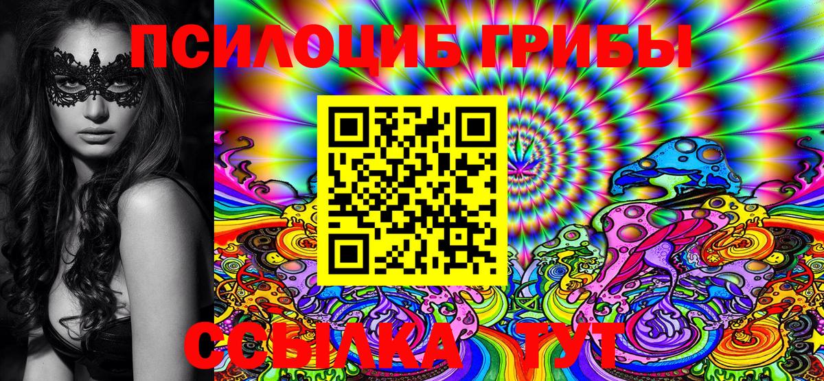 Балахна  Галлюциногенные грибы Cubensis  Вход с VPN 