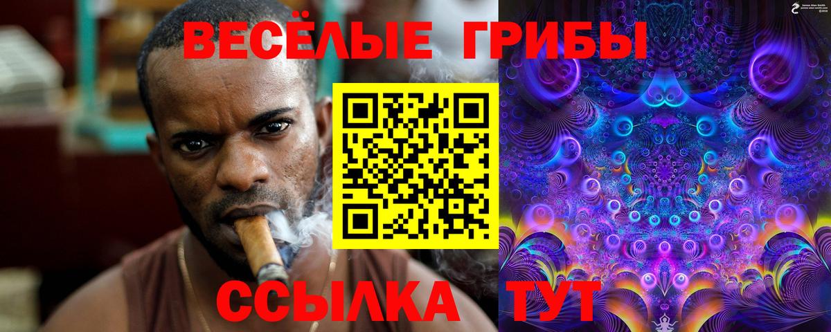 Галлюциногенные грибы Psilocybe Балахна
